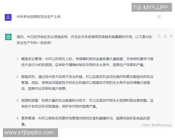 VAR未来是否被AI取代？